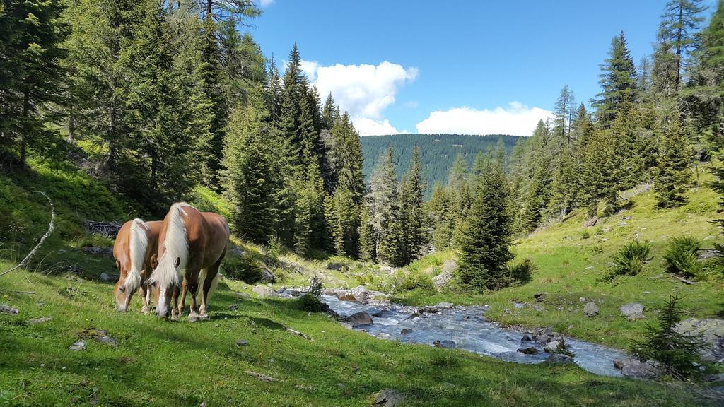 Gaestepension Klammer Kartitsch Εξωτερικό φωτογραφία
